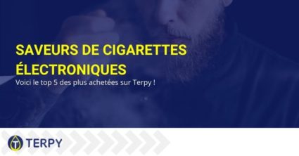 Saveurs de cigarettes électroniques : voici le top 5 des plus achetées sur Terpy !