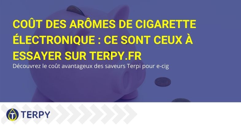 Découvrez le coût des arômes pour cigarettes électroniques et les saveurs à essayer, sur Terpi.fr