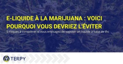 C'est pourquoi vous devriez éviter les e-liquides de marijuana.