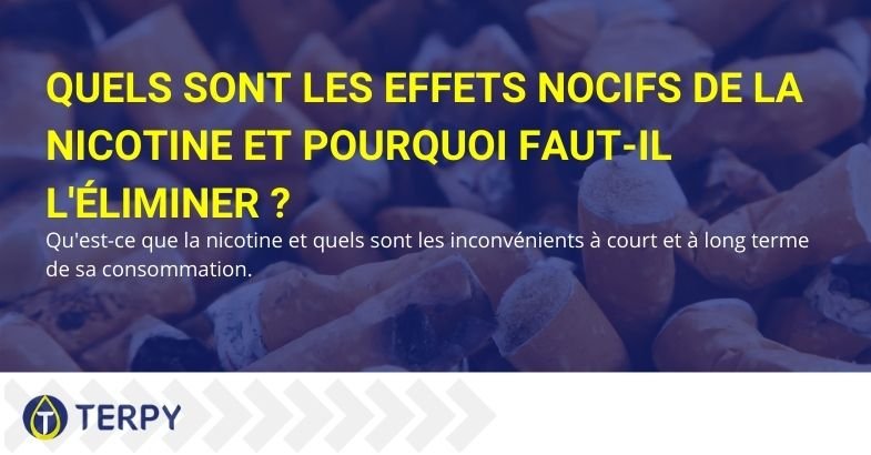 Quels sont les méfaits de la nicotine et pourquoi vaut-il mieux l'éliminer définitivement ?