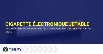 Prix et fonctions de la cigarette électronique jetable