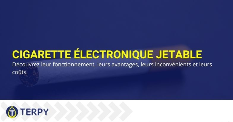 Prix et fonctions de la cigarette électronique jetable