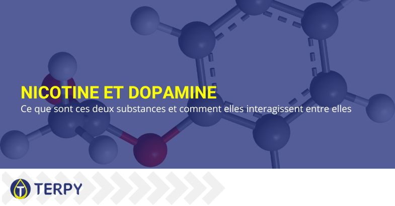 comment la nicotine et la dopamine interagissent