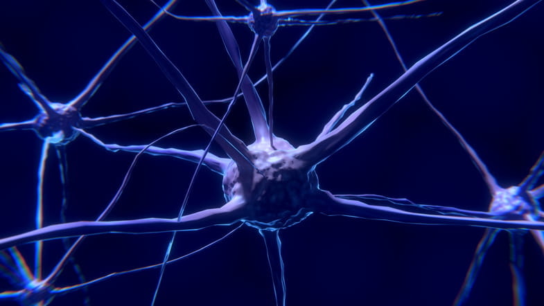 Neurone vu au microscope électronique