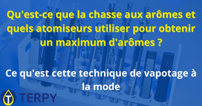 Qu'est-ce que la chasse aux arômes