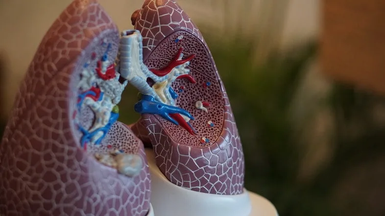 cigarette électronique q16 pro A force de vapoter, un sportif de haut niveau développe un grave  pneumothorax main image 1