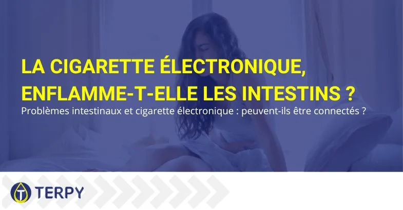 La-cigarette-électronique-enflamme-les-intestins La cigarette électronique enflamme-t-elle l'intestin ? | Terpy