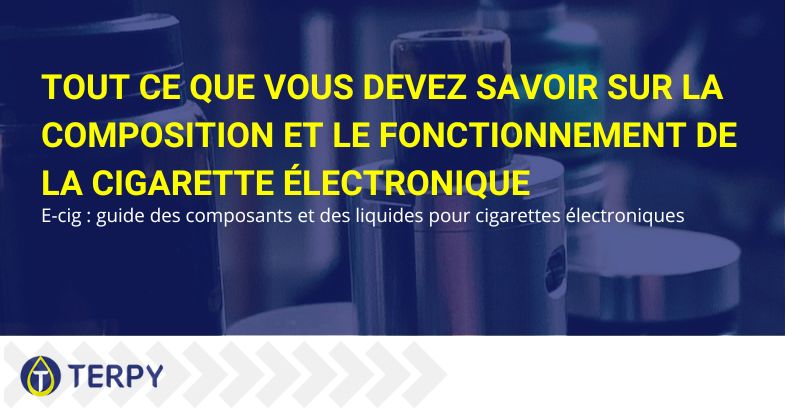 A quoi ressemble une cigarette électronique et comment elle fonctionne | Terpy