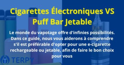 Cigarettes Électroniques VS Puff Bar Jetable