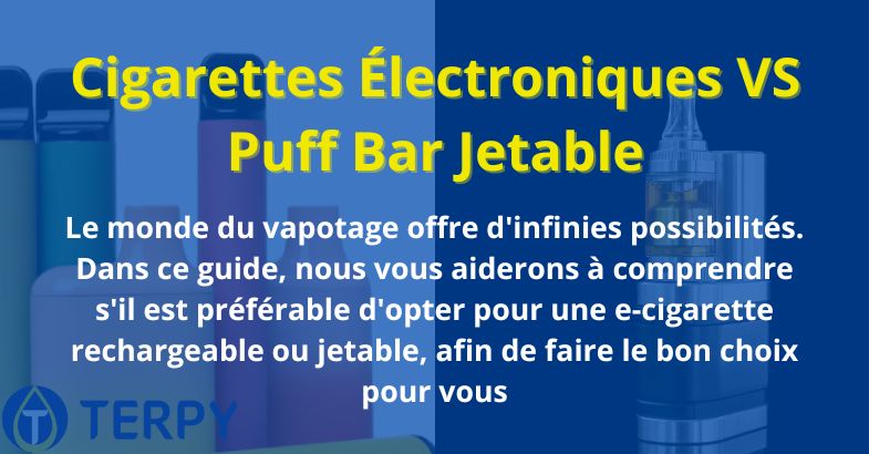 Cigarettes Électroniques VS Puff Bar Jetable