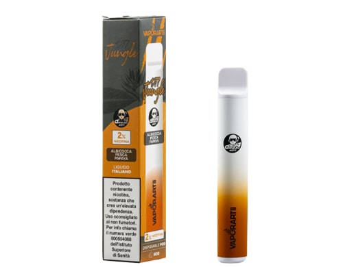Boite et cigarette electronique jetable VAPORART vape pen gout jungle