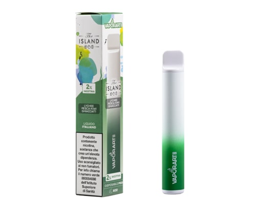 Boite et cigarette electronique jetable VAPORART vape pen gout menta