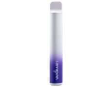 cigarette électronique jetable VAPORART vape pen fruitstard