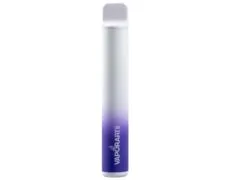 cigarette électronique jetable VAPORART vape pen fruitstard