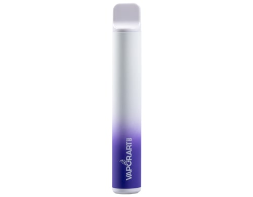 cigarette électronique jetable VAPORART vape pen fruitstard