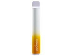 cigarette électronique jetable VAPORART vape pen manghito
