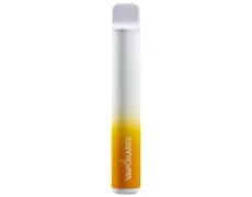 cigarette électronique jetable VAPORART vape pen manghito